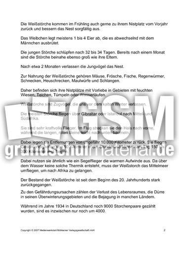 Fehlerlesen-Weißstorch-nur-Text-2.pdf